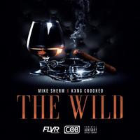 Thumbnail for the Mike Sherm - The Wild link, provided by host site
