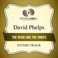Thumbnail for the David Phelps - The Wind and the Waves (Studio Track) link, provided by host site