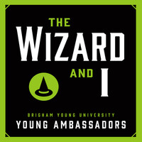 Thumbnail for the Stephen Schwartz - The Wizard and I (From "Wicked") link, provided by host site