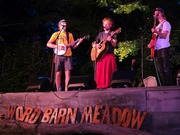Thumbnail for the Chadwick Stokes - The Word Barn Meadow link, provided by host site