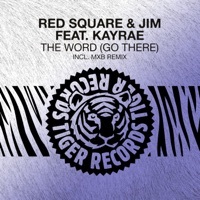 Thumbnail for the Red Square - The Word (Go There) [Remixes] link, provided by host site