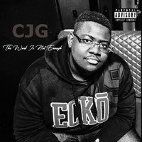 Thumbnail for the Cjg - The Work Is Not Enough link, provided by host site