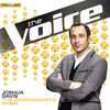 Thumbnail for the Joshua Davis - The Workingman’s Hymn (The Voice Performance) link, provided by host site