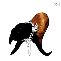 Thumbnail for the Coil - The Wraiths And Strays Of Paris link, provided by host site