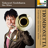 Thumbnail for the Iku Miwa - Theme and Variations link, provided by host site