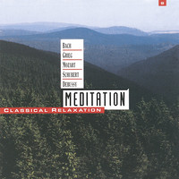 Thumbnail for the Josef Rheinberger - Theme and Variations link, provided by host site