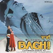 Thumbnail for the Not Applicable - Theme Music (Baghi) (Baghi / Soundtrack Version) link, provided by host site