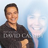 Thumbnail for the David Cassidy - Then And Now link, provided by host site