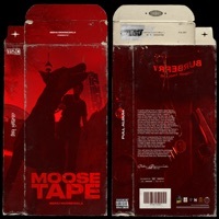 Thumbnail for the Sidhu Moose Wala - These Days link, provided by host site