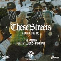 Thumbnail for the Fanatix - These Streets (Don't Luv U) link, provided by host site