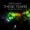 Thumbnail for the Spiritchaser - These Tears link, provided by host site