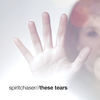 Thumbnail for the Spiritchaser - These Tears link, provided by host site