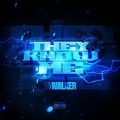 Thumbnail for the Skywalker - They Know Me link, provided by host site