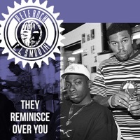 Thumbnail for the Pete Rock - They Reminisce Over You link, provided by host site