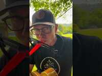 Thumbnail for the Steven Curtis Chapman - They say music has charms to soothe the savage beast! Tryin’ to see if it works for Cicadas! link, provided by host site