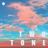 Image of 2tone linking to their artist page due to link from them being at the top of the main table on this page