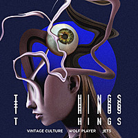 Thumbnail for the Vintage Culture - Things link, provided by host site