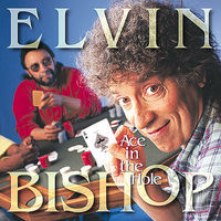 Thumbnail for the Elvin Bishop - Think link, provided by host site