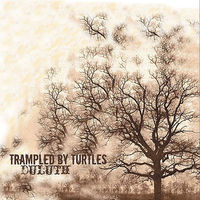 Thumbnail for the Trampled By Turtles - Think It Over link, provided by host site