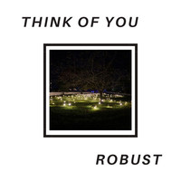 Thumbnail for the Robust - Think of You link, provided by host site