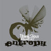 Thumbnail for the Entropy - Think Slow Move Fast link, provided by host site