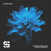 Thumbnail for the Darren Bray - Thinking About You link, provided by host site