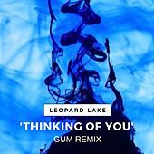 Thumbnail for the Leopard Lake - Thinking of You (GUM Remix) link, provided by host site