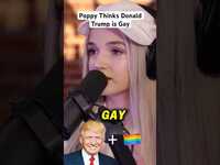 Thumbnail for the Poppy - Thinks Donald Trump is Gay link, provided by host site