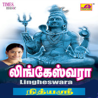 Thumbnail for the Nithyasree - Thiraimathi link, provided by host site