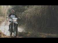 Thumbnail for the Martin Garrix - Lions In The Wild - [Official Trailer] link, provided by host site