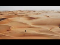 Thumbnail for the Martin Garrix - Lions In The Wild link, provided by host site