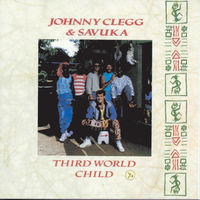 Thumbnail for the Johnny Clegg - Third World Child link, provided by host site