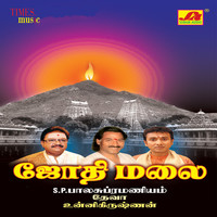 Thumbnail for the Deva - Thiruvannamalaiyaa link, provided by host site