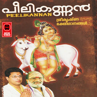 Thumbnail for the Manjari - Thiruvaranmula link, provided by host site
