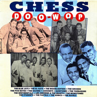 Thumbnail for the The Sonics - This Broken Heart link, provided by host site