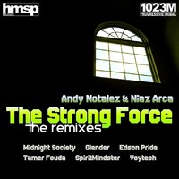 Thumbnail for the Voytech - This Feeling (Bonus Track) - Arca & Notalez Remix link, provided by host site