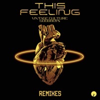Thumbnail for the Vintage Culture - This Feeling (Fractall and Rocksted Remix) link, provided by host site