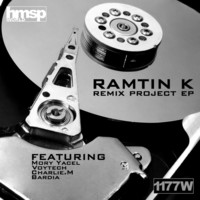 Thumbnail for the Voytech - This Feeling - Ramtin K Remix link, provided by host site
