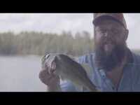 Thumbnail for the Larry Fleet - This is link, provided by host site