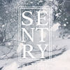 Thumbnail for the Sentry - This Too Shall Pass link, provided by host site