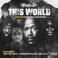Thumbnail for the Bun B - This World link, provided by host site