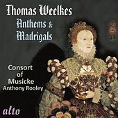 Thumbnail for the Consort Of Musicke - Thomas Weelkes: Anthems & Madrigals link, provided by host site