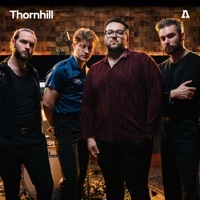 Thumbnail for the Thornhill - Thornhill [Audiotree Live] link, provided by host site