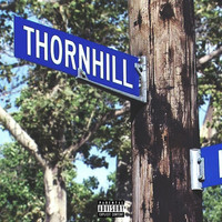 Thumbnail for the King Chip - Thornhill link, provided by host site