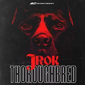 Thumbnail for the J-Rok - Thoroughbred link, provided by host site