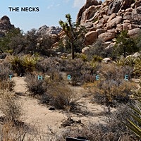 Thumbnail for the The Necks - Three link, provided by host site