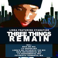 Thumbnail for the Linka - Three Things Remain link, provided by host site