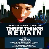 Thumbnail for the Linka - Three Things Remain link, provided by host site