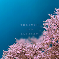 Thumbnail for the Marc JB - Through The Blossom link, provided by host site