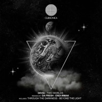 Thumbnail for the Deviu - Through the Darkness (Erdi Irmak Remix) link, provided by host site